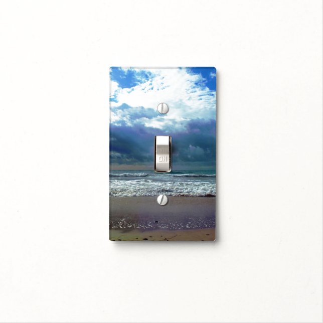 Pacific Storm Light Switch Cover (In Situ)