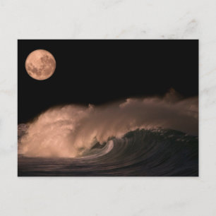 Pacific Storm Waves   North Shore of Oahu, Hawaii Postcard
