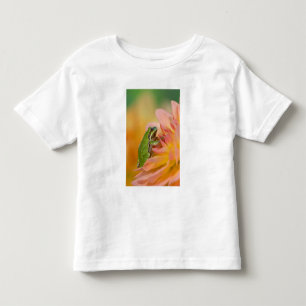 Pacific tree frog on flowers in our garden, 2 toddler t-shirt