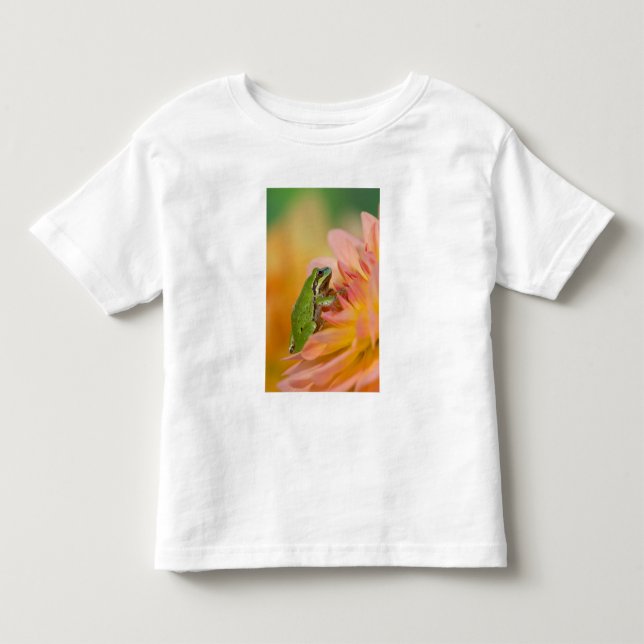 Pacific tree frog on flowers in our garden, 2 toddler t-shirt (Front)