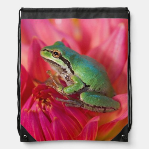Pacific tree frog on flowers in our garden 4 drawstring bag