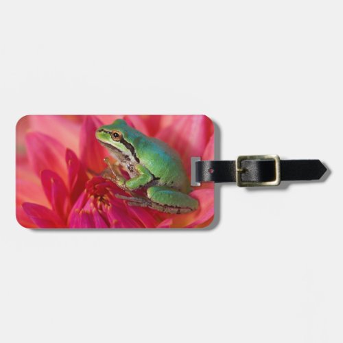 Pacific tree frog on flowers in our garden 4 luggage tag