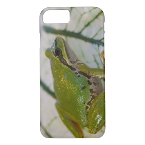 Pacific tree frog on flowers in our garden iPhone 87 case