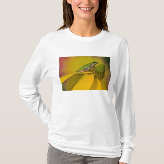Pacific tree frog on flowers in our garden T-Shirt (Front)