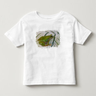 Pacific tree frog on flowers in our garden, toddler t-shirt