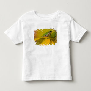 Pacific tree frog on flowers in our garden toddler t-shirt