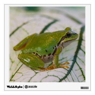 Pacific tree frog on flowers in our garden, wall decal