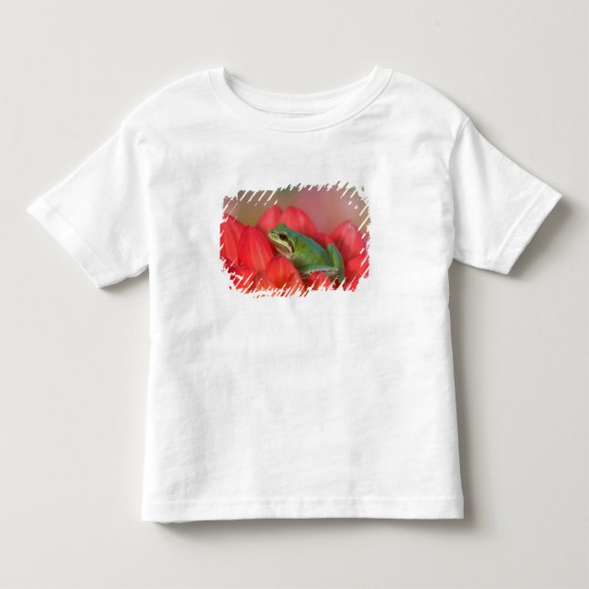 Pacific tree frog on flowers in the garden toddler t-shirt (Front)
