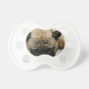 bulldog pacifier