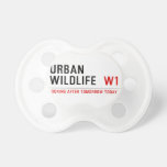 URBAN WILDLIFE   Pacifiers