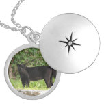 Pacing Panther Locket