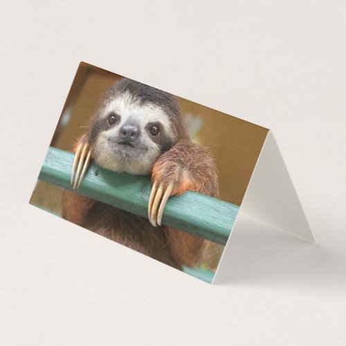 Pack 25 Sloth blank cards any occasion