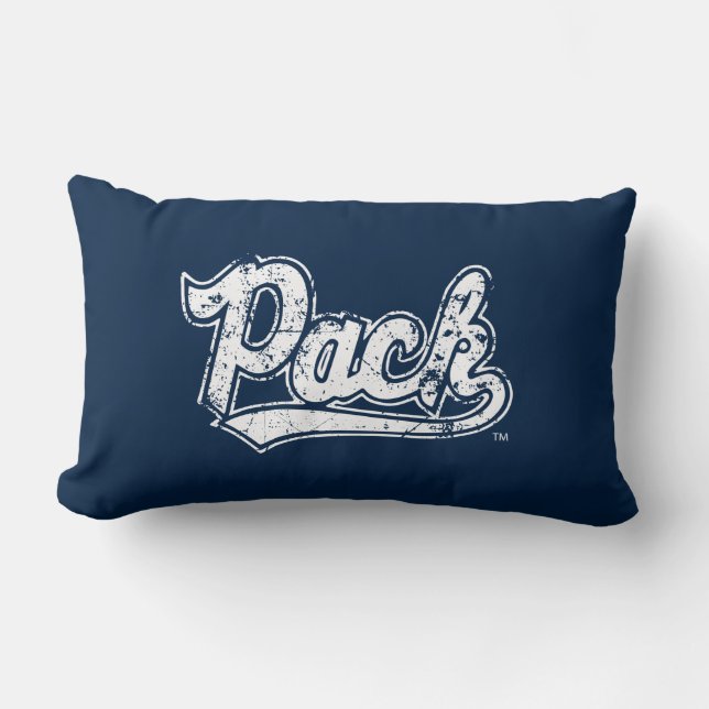 Pack Distressed Lumbar Pillow (Front)