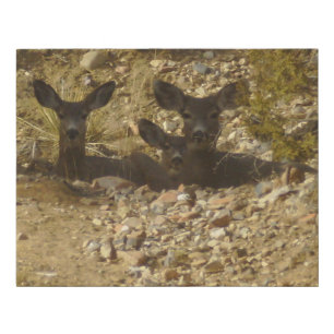 Pack of Does Faux Wrapped Canvas Print