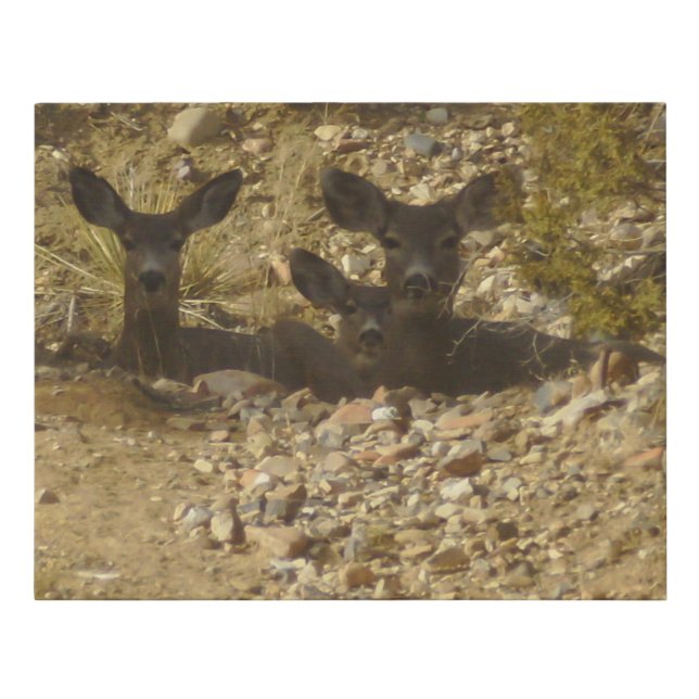 Pack of Does Faux Wrapped Canvas Print (Front)