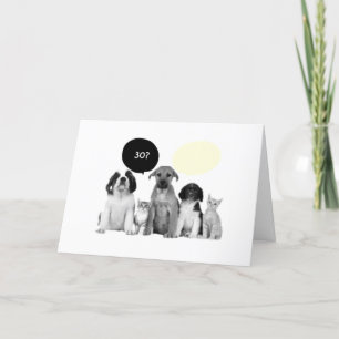 PACK OF DOGS "30th" BIRTHDAY COMPLIMENT Card