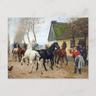 Pack of Horses circa 1878 Postcard