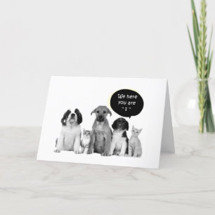 PACK OF PUPPIES SAY HAPPY "1st" BIRTHDAY Card