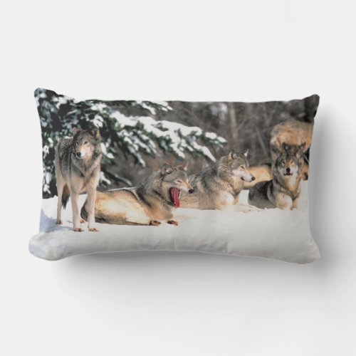 Pack of  Wolves In Snow Lumbar  Pillow