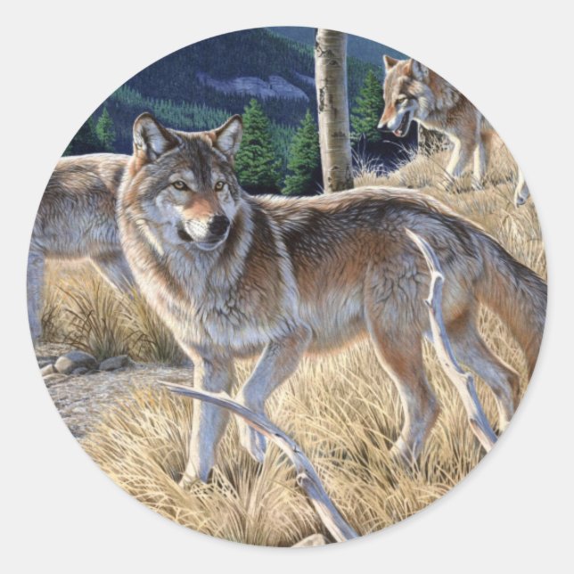 Pack of wolves in the forest painting classic round sticker (Front)