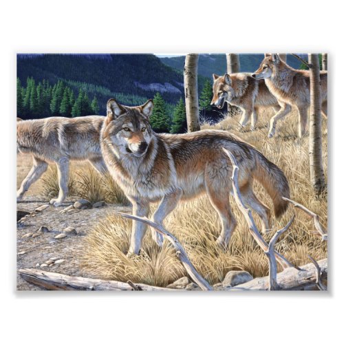 Pack of wolves in the forest painting photo print
