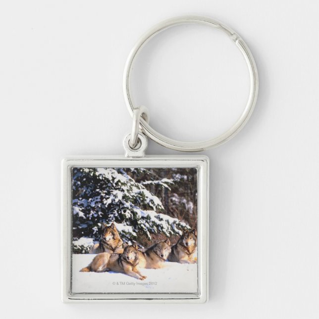 Pack of wolves in winter keychain (Front)