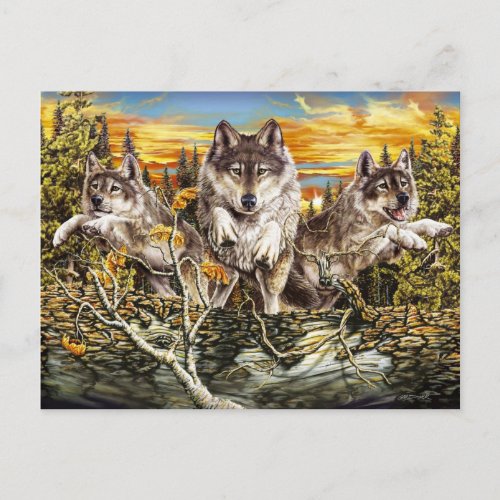 Pack of wolves jumping over a log postcard