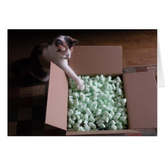 Packed with card - cat (Front Horizontal)