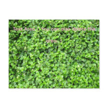 Packed with greenery