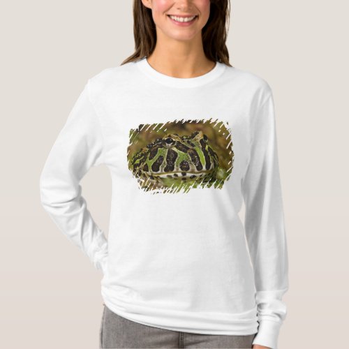 Pacman frog Ceratophrys cranwelli or South T_Shirt