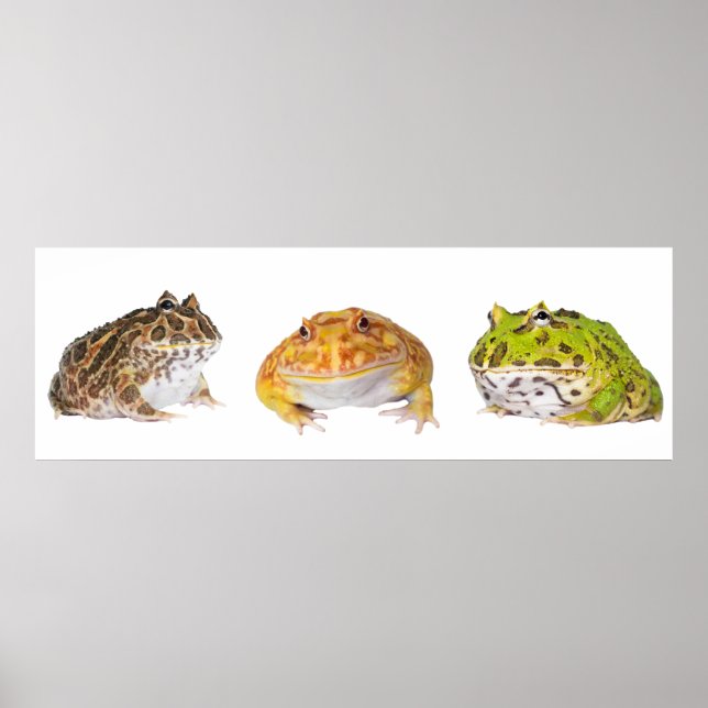 Pacman Poster Panorama (Front)