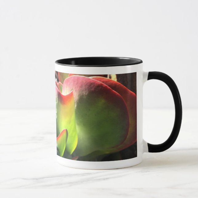 Paddle plant coffee mug (Right)