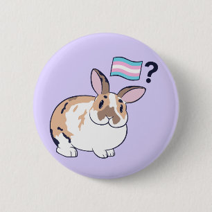 Paddy Pride Badge (Transgender) Button