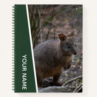 Pademelon, Australia, Cute Animal, Green Notebook