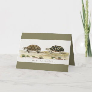 Padloper Tortoise Post-it Notes