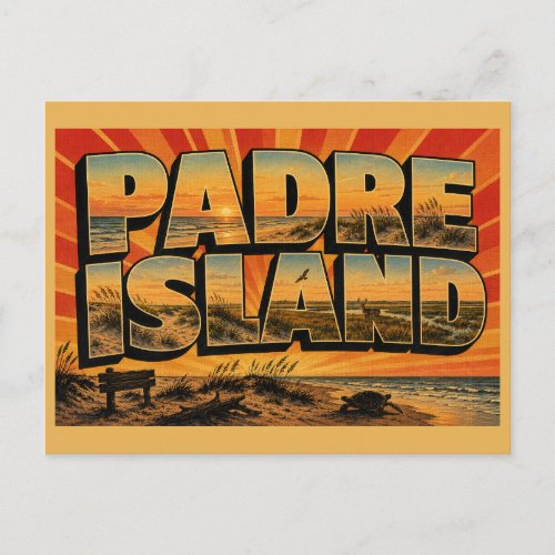 Padre Island TX Beach Dunes Grasslands Art Postcard