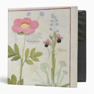 Paeonia or Peony, and Orchis myanthos 3 Ring Binder