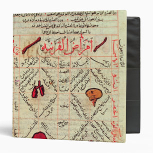 Page from the 'Canon of Medicine' by Avicenna Binder