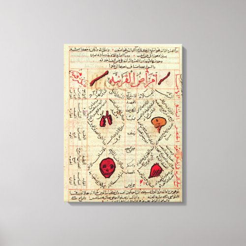 Page from the Canon of Medicine by Avicenna Canvas Print