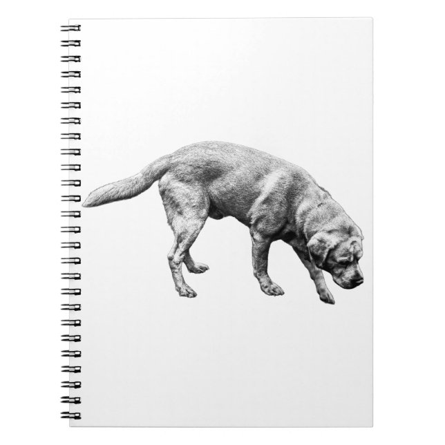 Pages of Devotion Notebook (Front)