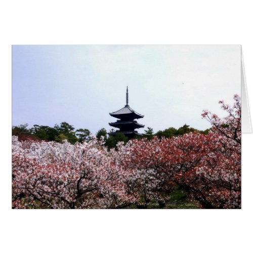 Pagoda and cherry trees