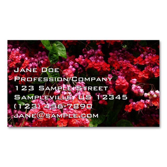 Pagoda Flowers Business Card Magnet (Front)