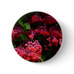 Pagoda Flowers Colorful Red and Pink Button
