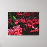 Pagoda Flowers Colorful Red and Pink Canvas Print