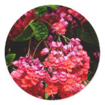 Pagoda Flowers Colorful Red and Pink Classic Round Sticker