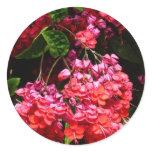 Pagoda Flowers Colorful Red and Pink Classic Round Sticker