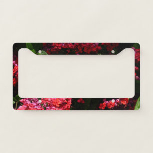 Pagoda Flowers Colorful Red and Pink License Plate Frame
