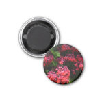 Pagoda Flowers Colorful Red and Pink Magnet