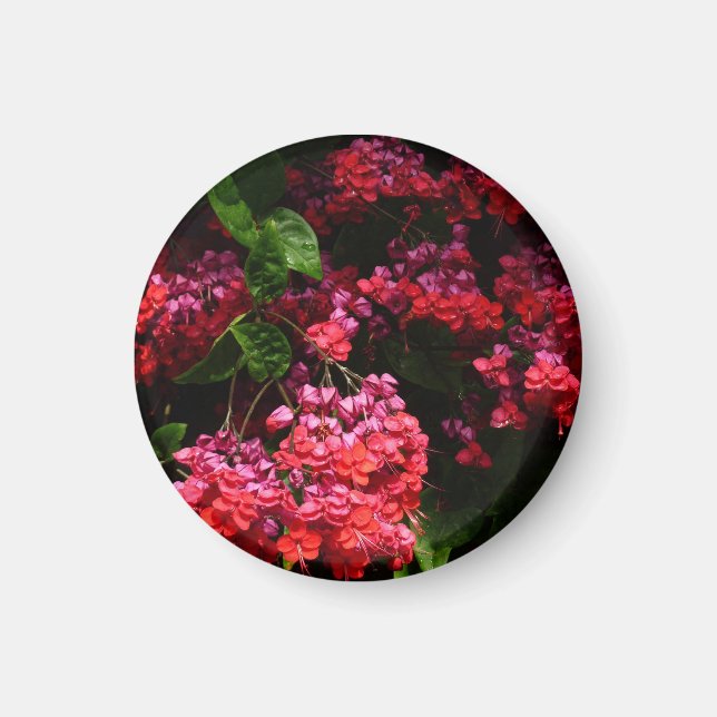 Pagoda Flowers Colorful Red and Pink Magnet (Front)