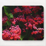Pagoda Flowers Colorful Red and Pink Mouse Pad
